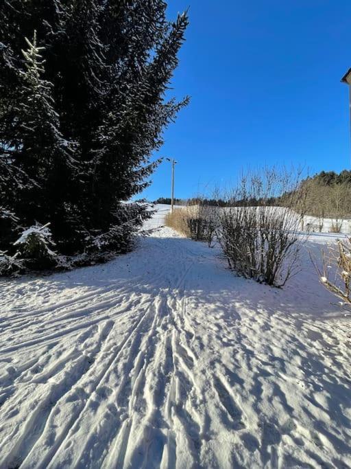 شقة Franzis Feriendomizil Im Herzgebirge Am Skihang Auerbach  المظهر الخارجي الصورة