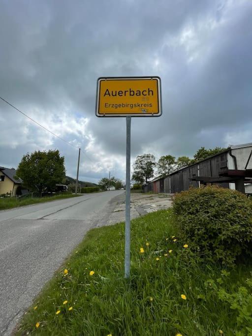 شقة Franzis Feriendomizil Im Herzgebirge Am Skihang Auerbach  المظهر الخارجي الصورة