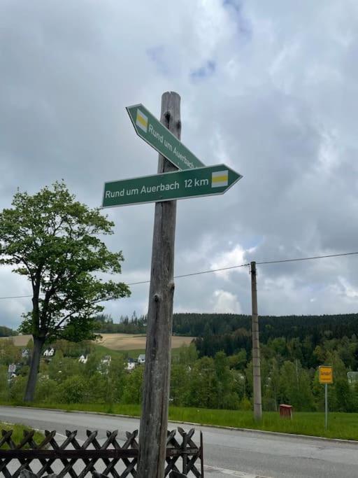 شقة Franzis Feriendomizil Im Herzgebirge Am Skihang Auerbach  المظهر الخارجي الصورة