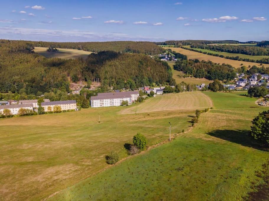 شقة Franzis Feriendomizil Im Herzgebirge Am Skihang Auerbach  المظهر الخارجي الصورة